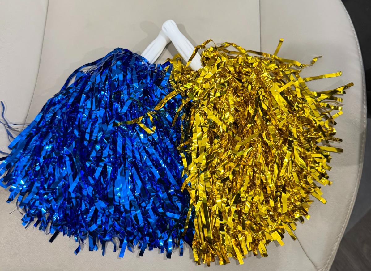 Blue and Gold POM POM