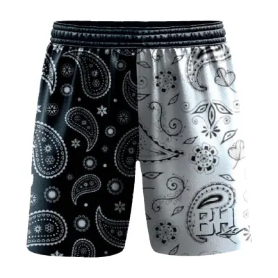 Paisley